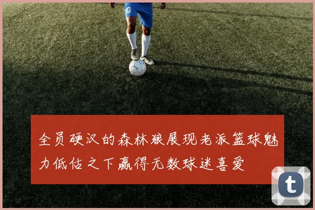 全员硬汉的森林狼展现老派篮球魅力低估之下赢得无数球迷喜爱